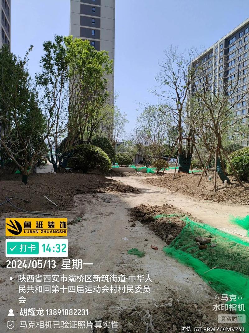 望江城市綠化工程施工現(xiàn)場(chǎng)實(shí)拍 精細(xì)化管理下的進(jìn)度與生態(tài)之美