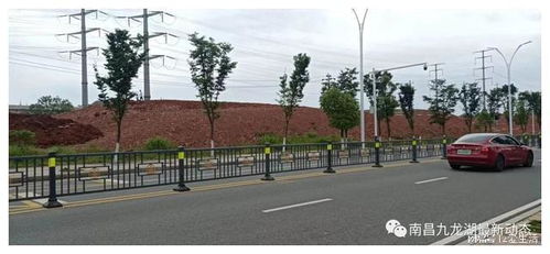 九龍湖大型公園綠化新篇章 巧借坡度塑特色，園林施工展新姿